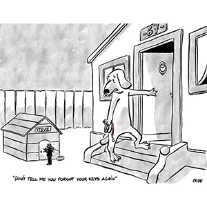 Day Four, Sit, Human!