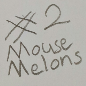 Growing Experiment #2: Mouse melons