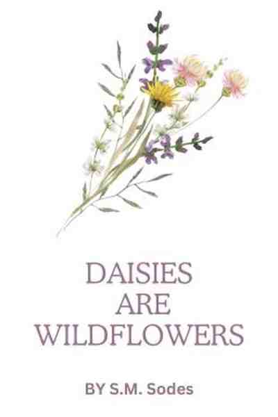 Daisies Are Wildflowers