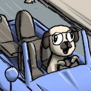 Harold  The Leakage Pilot Dog