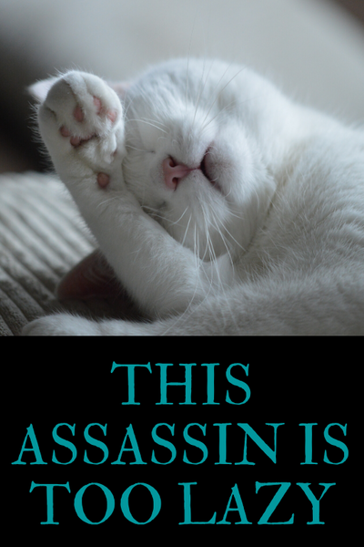 This Assassin is too lazy