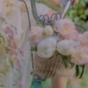 forget-me-nots * poem