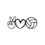 Not Volley Love