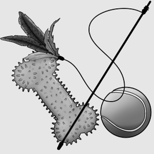 Chapter One: Red Thread of Fate