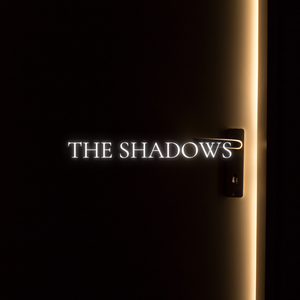 Chapter 5: The Shadow?