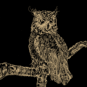 Quiet & Strained (Part-2)