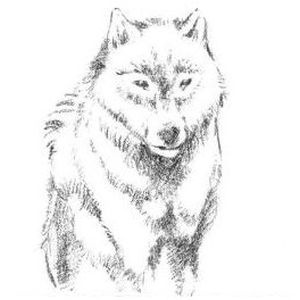 Orphans #1 - Homo Homini Lupus