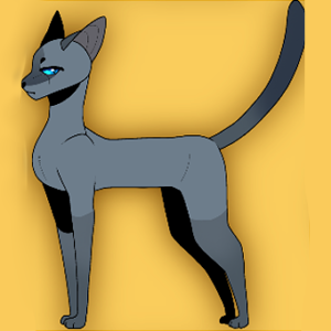 Read Warriors - Into The Wild (Fan-made comic) :: ThunderClan Allegiances