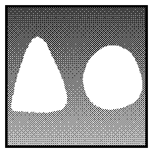 the shape of the world.