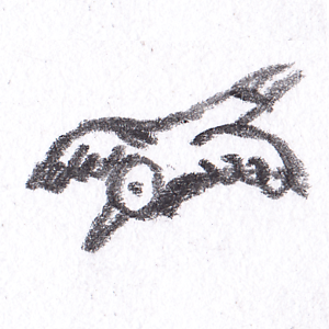 I believe he can fly