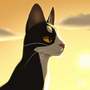Life of a Windclan cat- Tallstar Era