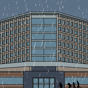 ch.8, p.249 - Hospital