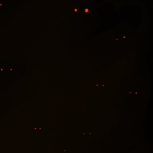 PMD: The Deep Dark - Ch.0 Page 16