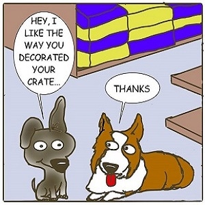 Doghouse In Your Soul--Volume 2