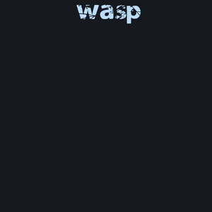 Wasp Cover/info/about