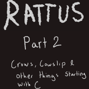 Rattus Part 2 Cover