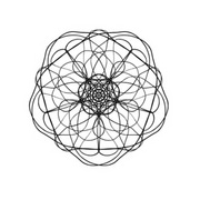 Parallel