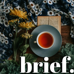 brief. — a collection of short stories