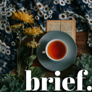 brief. &mdash; a collection of short stories