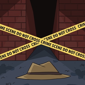 The Curious Case of the Lost Lady - Part 1