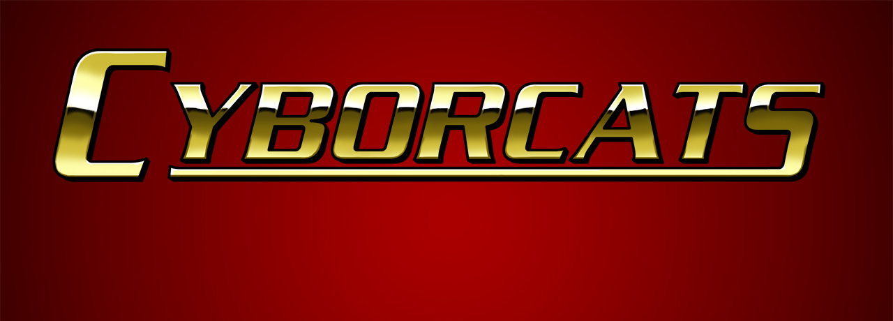 custom banner