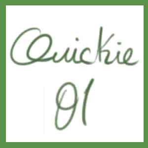 Quickie 01