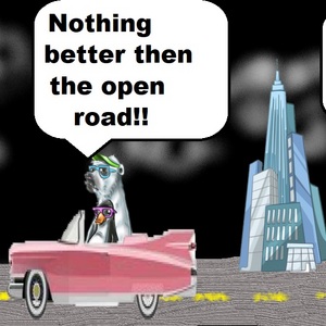 The Open Road..