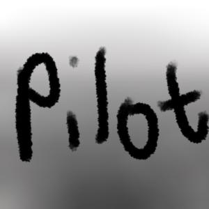 PILOT: 1/2