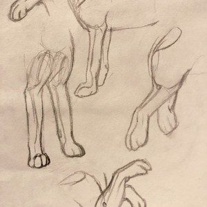 My Sketchbook