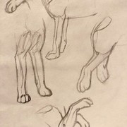 My Sketchbook