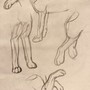 My Sketchbook