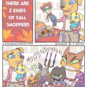 Fall Shopping