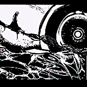 CHAPTER 02: THE BIRTH