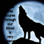 THE LAST DARK BLOOD WOLF BREEDER (boyxboy)