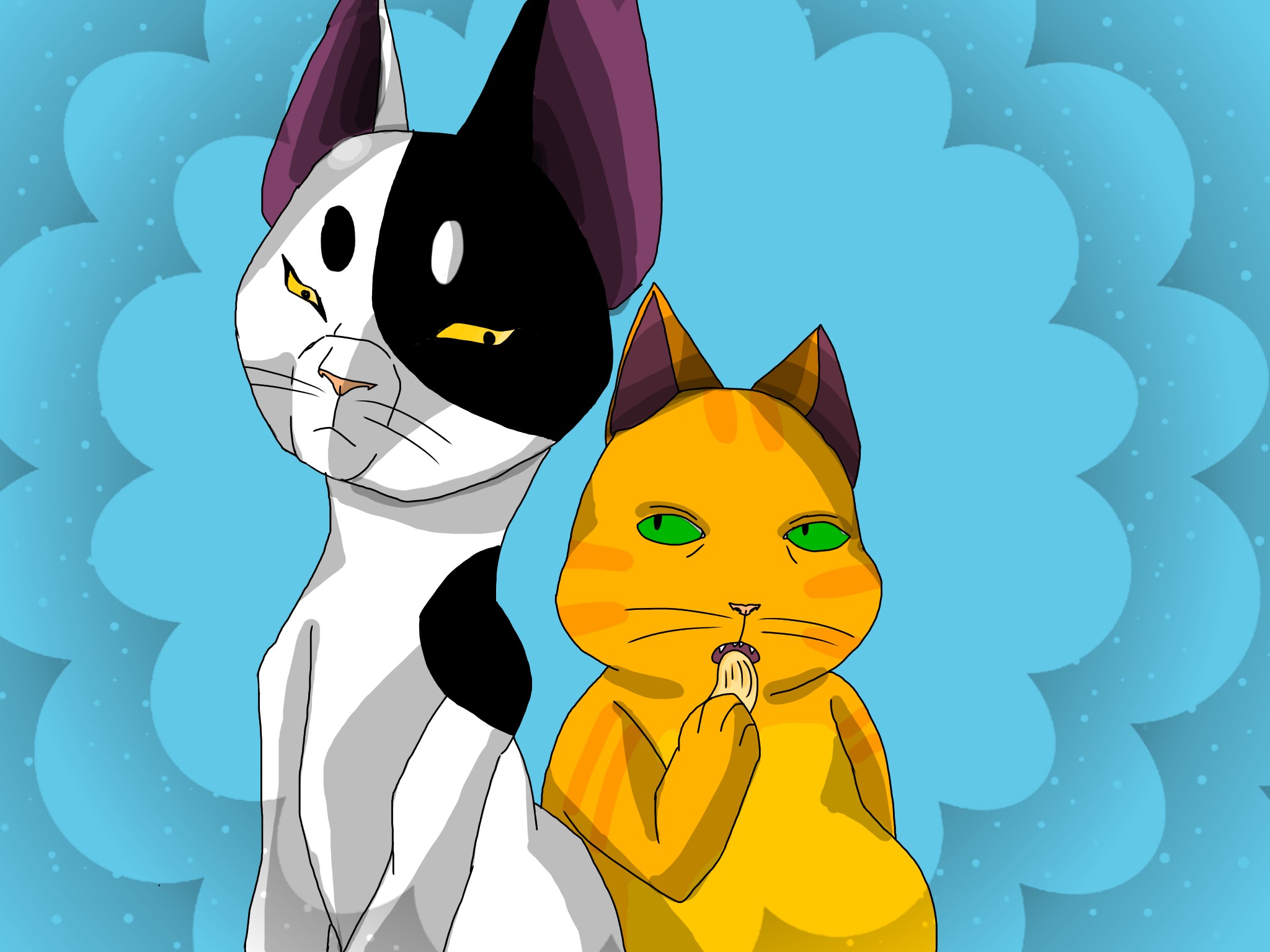 custom banner