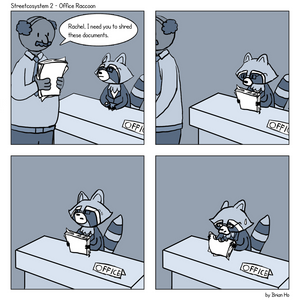 Office Raccoon