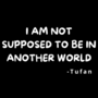 I am Not Supposed to Be in Another World