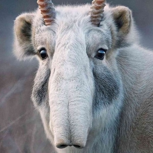 &Auml;&Auml;&Auml;&Auml;&Auml;&Auml;&Auml;&Auml;&Auml;&Auml;&Auml;