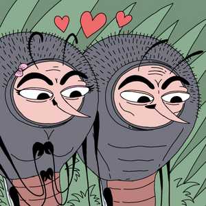Mosquito Family
