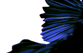 custom banner