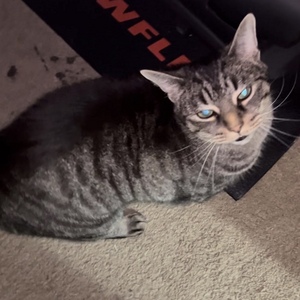 C1EP1 - Caught Tyin Ya Shoes