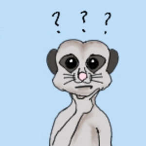 What's the profession?