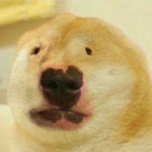 My Best Friend Just Popped Off!