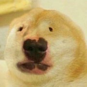 My Best Friend Just Popped Off!