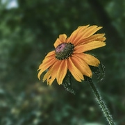 Talk to me | an original story