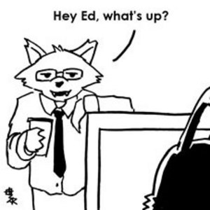 The Space in the Office