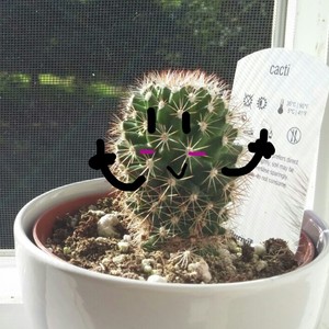 Ask Carle The Cactus