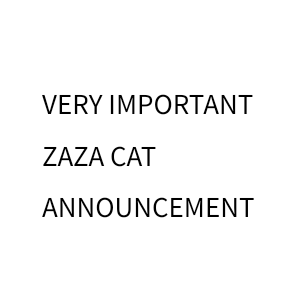 ZAZA cat announcement go brr