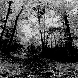 The Pale Duke: Salt &amp; Decay / EP.4