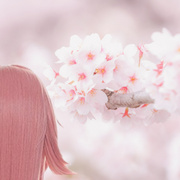 Shadow of the Lightning (Genshin Fanfic)